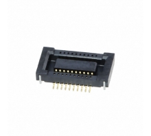 DF18B-20DS-0.4V(81) pilt