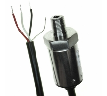 P51-100-S-B-I36-5V-000-000 pilt