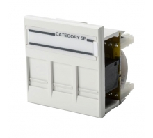 RJ45S3C5E-FW pilt