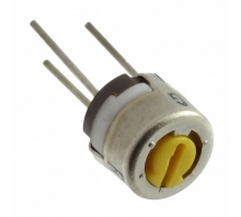 RJ4EW100 pilt