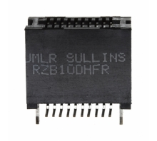 RZB10DHFR pilt