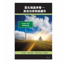 GAN FET BOOK SIMPLIFIED CHINESE VERSION pilt