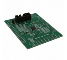 ML610Q482 REFBOARD pilt