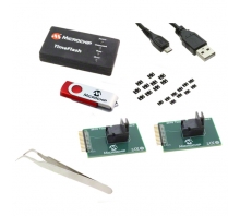 DSC-TIMEFLASH-KIT2 pilt