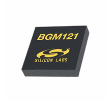 BGM121N256V2 pilt