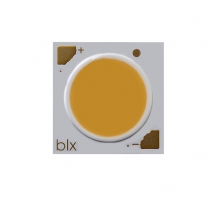 BXRH-30E6000-G-23 pilt