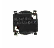 PE-53817SNL pilt