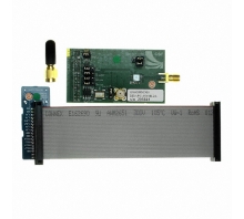 DEV-SYS-1519-1B pilt