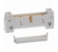 AWH24G-0202-IDC-R pilt