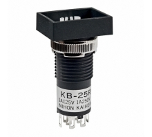 KB25RKW01 pilt