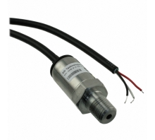 P51-1000-S-A-I36-4.5V-000-000 pilt