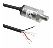 P51-100-G-B-I36-4.5V-000-000 pilt