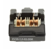 EV28-1.0-02-36M pilt