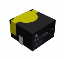 SMT-0824-SW-3V-R pilt