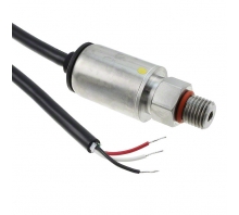 P51-3000-A-AA-I12-5V-000-000 pilt