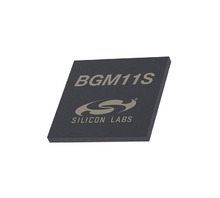 BGM11S22F256GA-V2 pilt