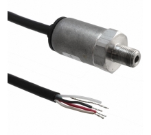 P51-200-G-B-I36-4.5V-000-000 pilt