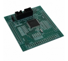 ML610Q409 REFBOARD pilt