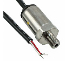 P51-100-S-B-I36-4.5V-000-000 pilt