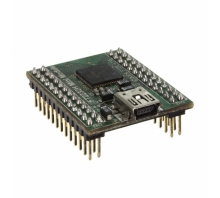 FT4232H MINI MODULE pilt