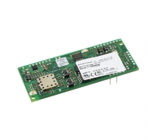 MT810SWM-IP pilt